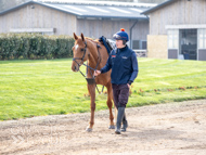 BP200326-5 - It's Hard To Know